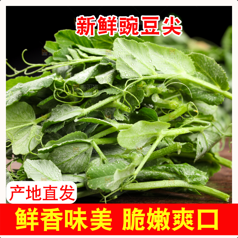 深底上的四川豌豆尖