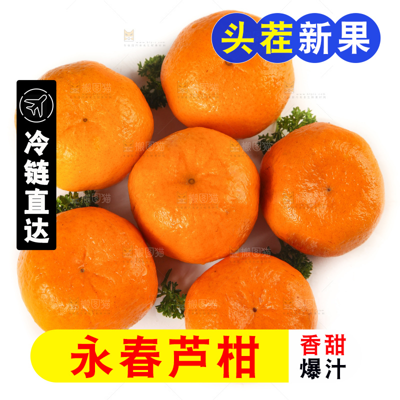 白底上摆放着福建永春芦柑