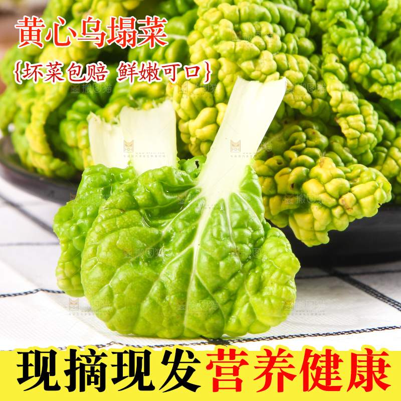 盘子里的黄心乌塌菜