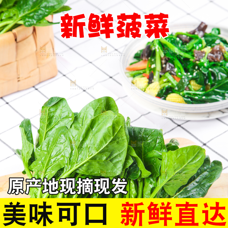 白格子底上的嫩菠菜