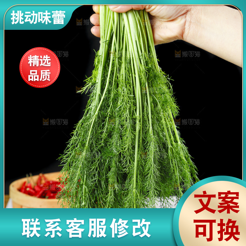 手里拿着小茴香