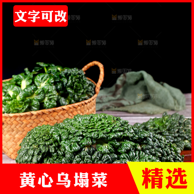 篮子里的新鲜菊花菜