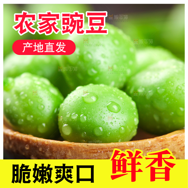 勺子里的新鲜豌豆粒
