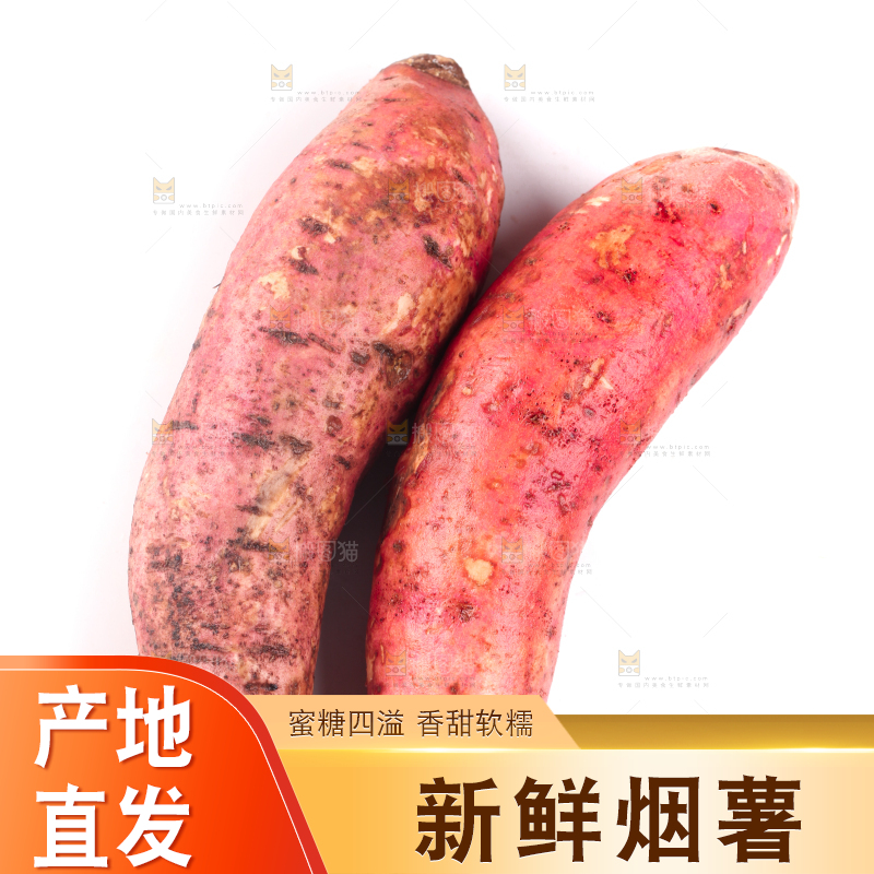 白底上蜜署