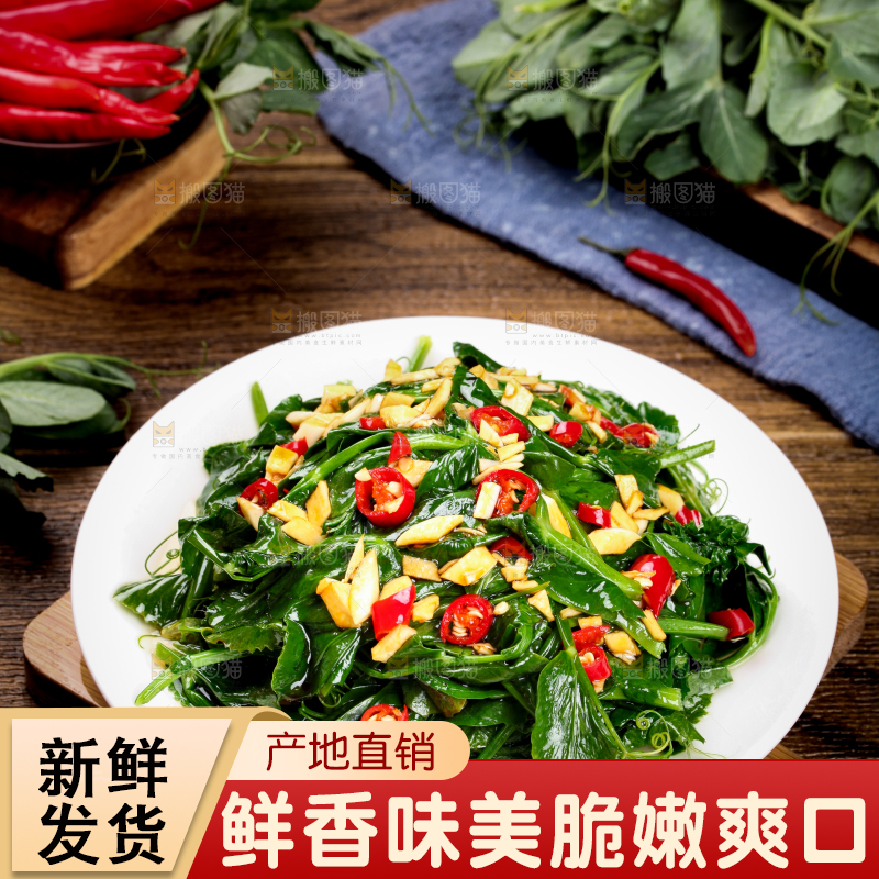 盘子里装着炒豌豆尖