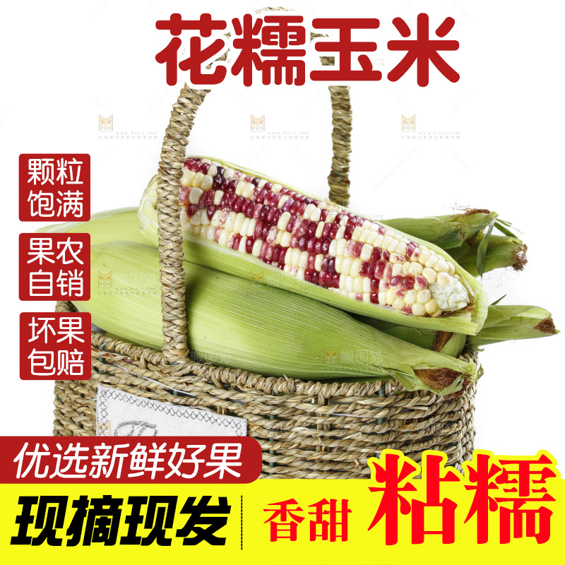 白底上放着剥皮的花糯玉米