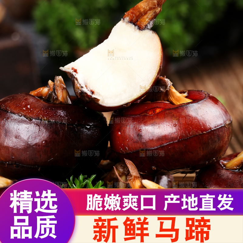 篮子里的红马蹄