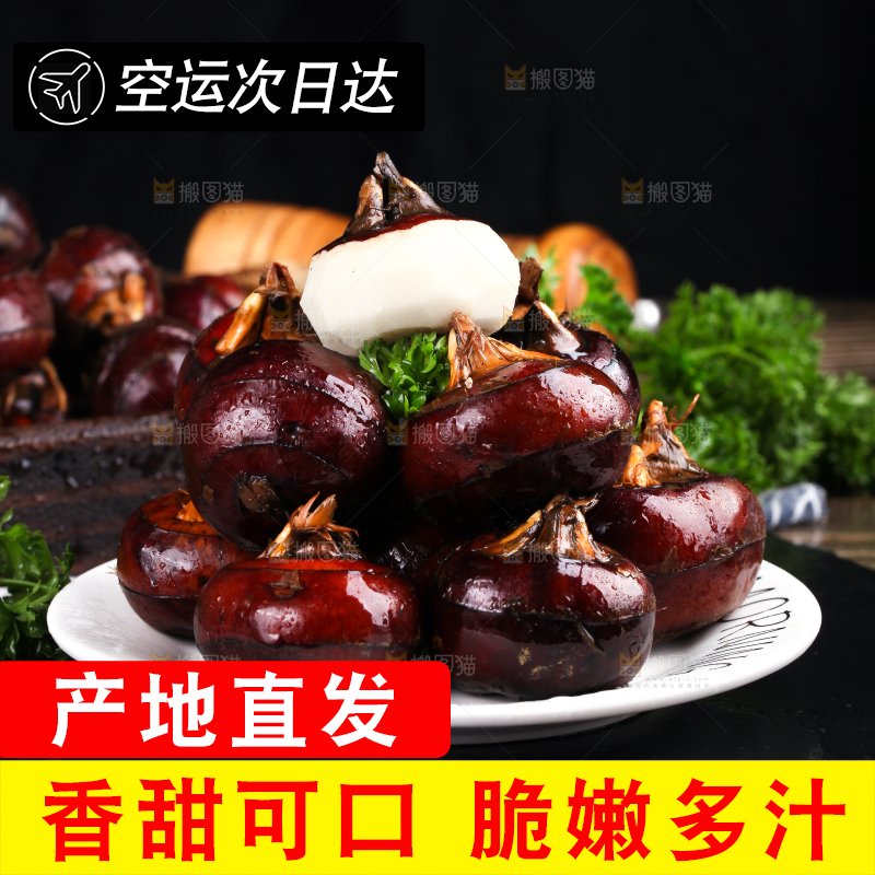 黑石板上的荸荠