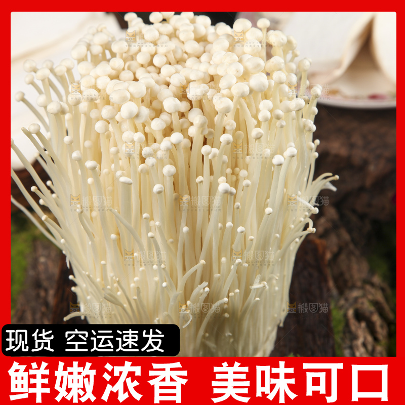 木底上的冬菇