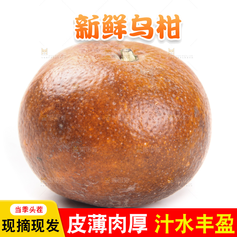 白底上放着新鲜乌柑