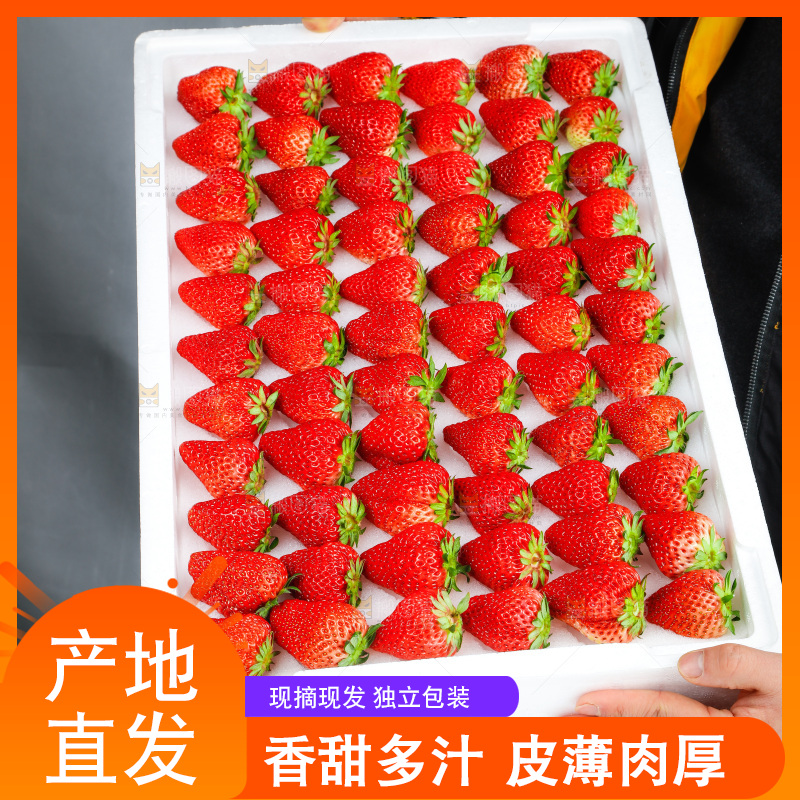 箱子里装着牛奶草莓
