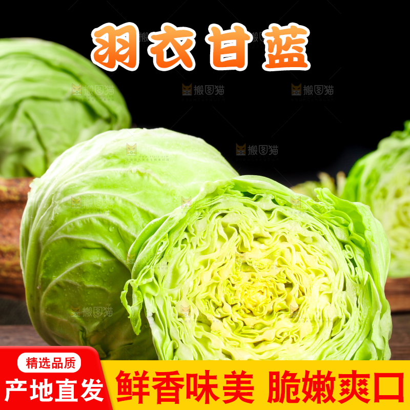 黑底上放着绿甘蓝