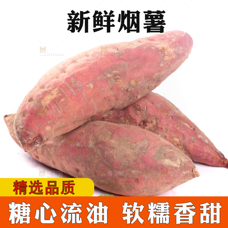 白底上蜜署