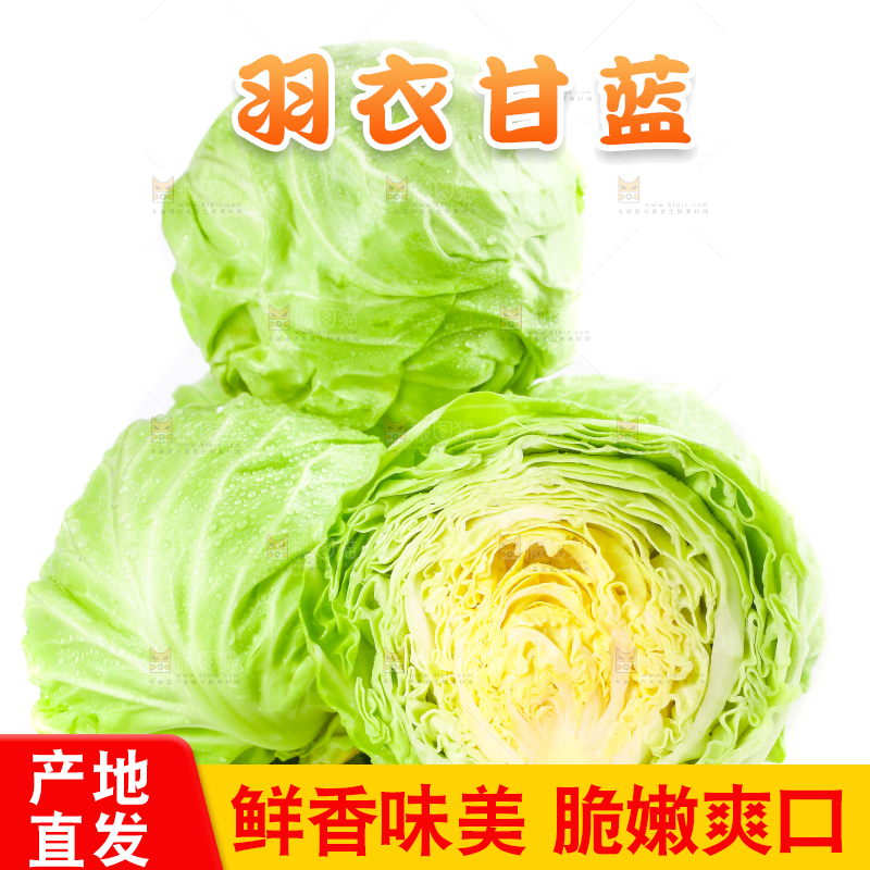 白底上摆放着包菜