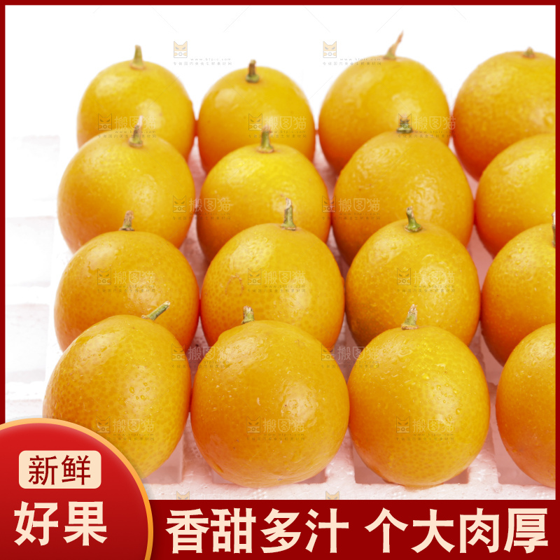 白底上的阳朔脆皮金桔