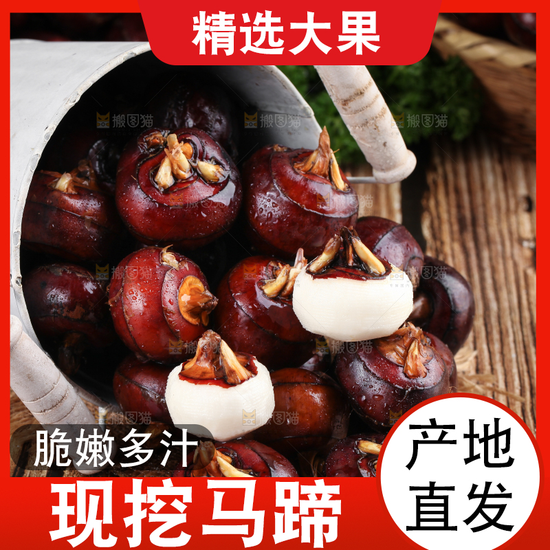 桶子里装着菩荠