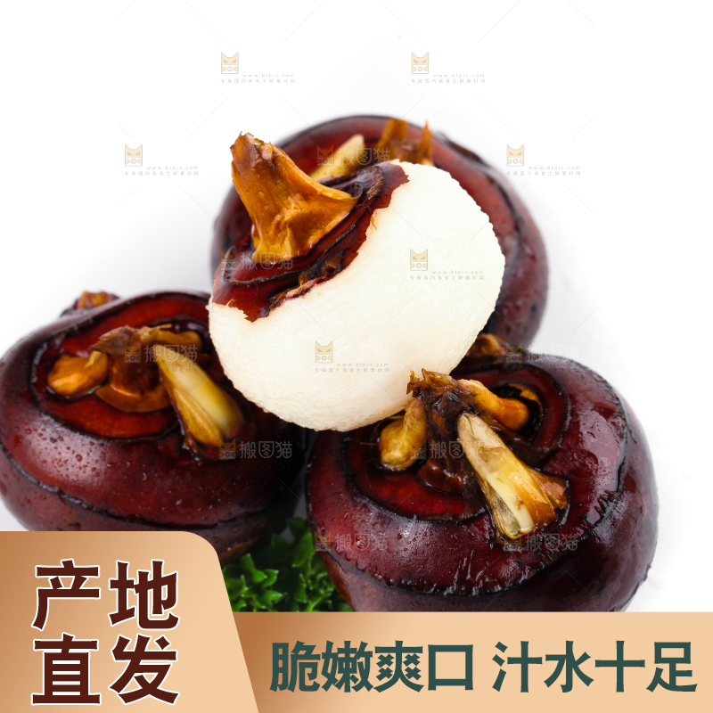 白底上摆放着乐昌北乡马蹄