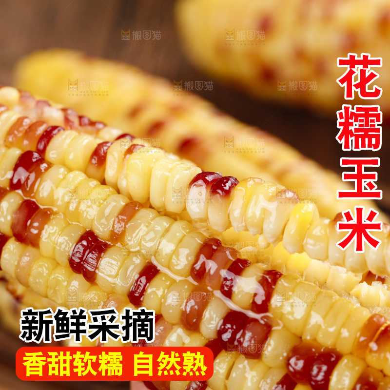 深底上的熟花糯玉米