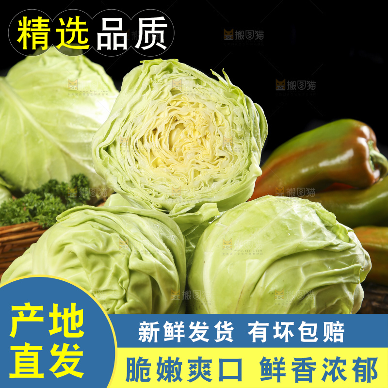 木底上放着一盘孢子甘蓝