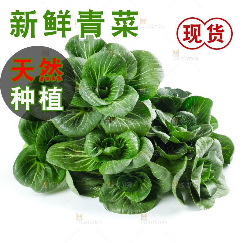 白底上放着上海青
