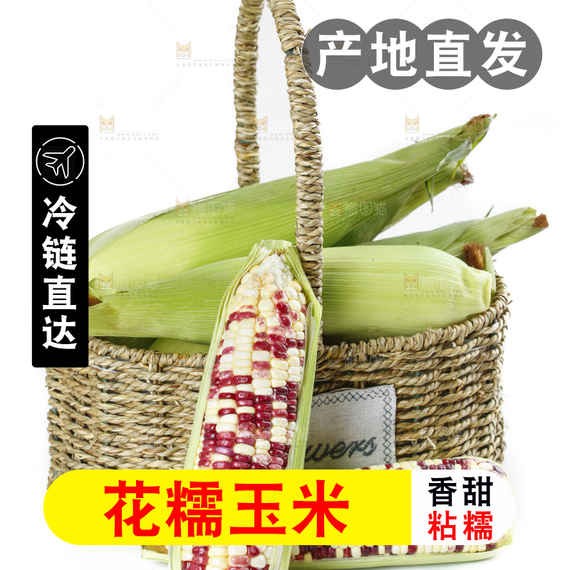 白底上放着剥皮的花糯玉米