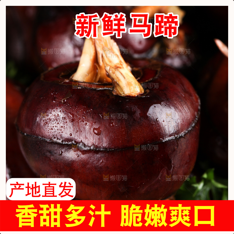 深底上的广西荔浦马蹄