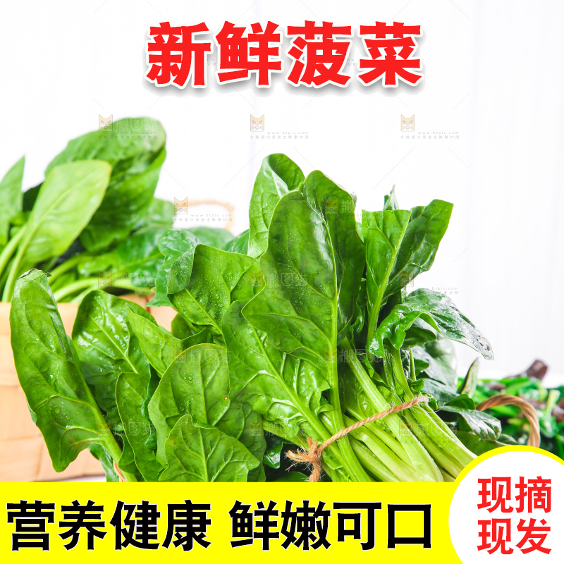 白格子底上的嫩菠菜