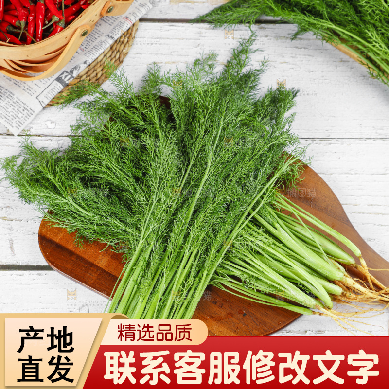 木底上的小茴香菜