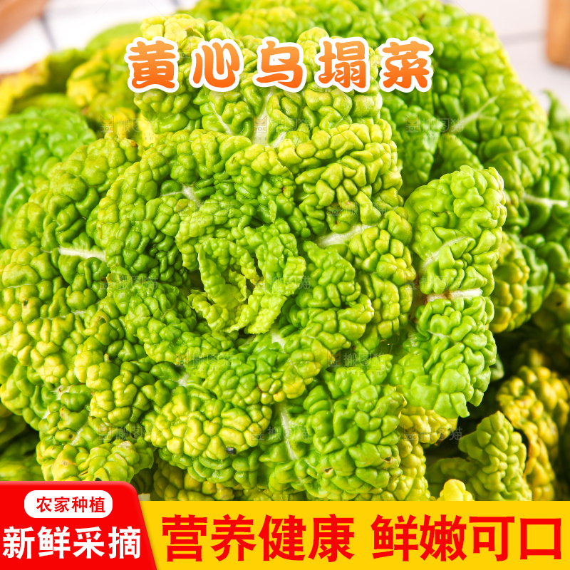 篮子里装着乌塌菜