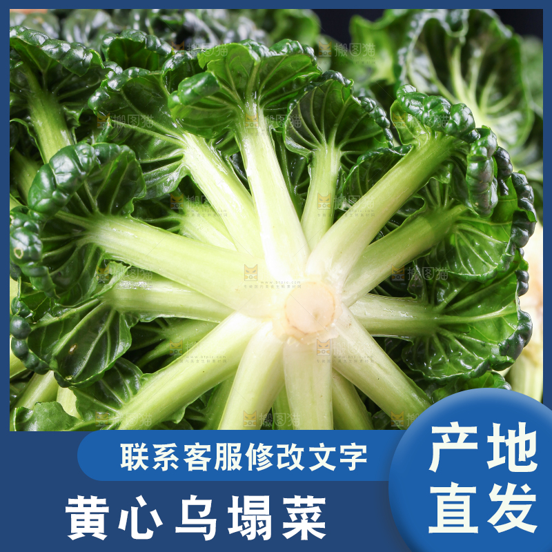 盘子里装着农家乌塌菜