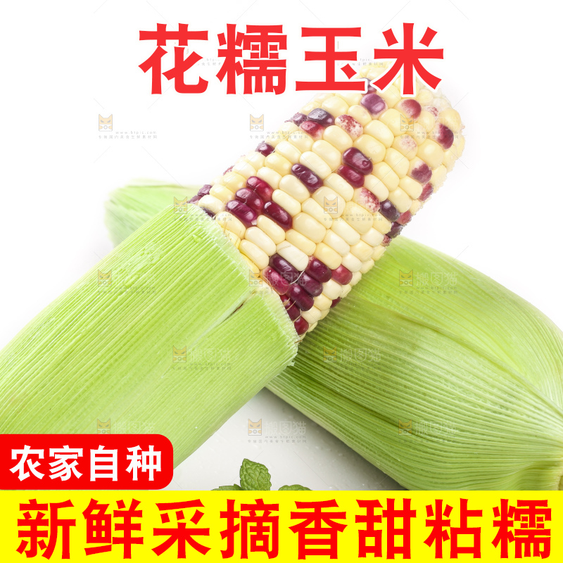 白底上放着剥皮的花糯玉米
