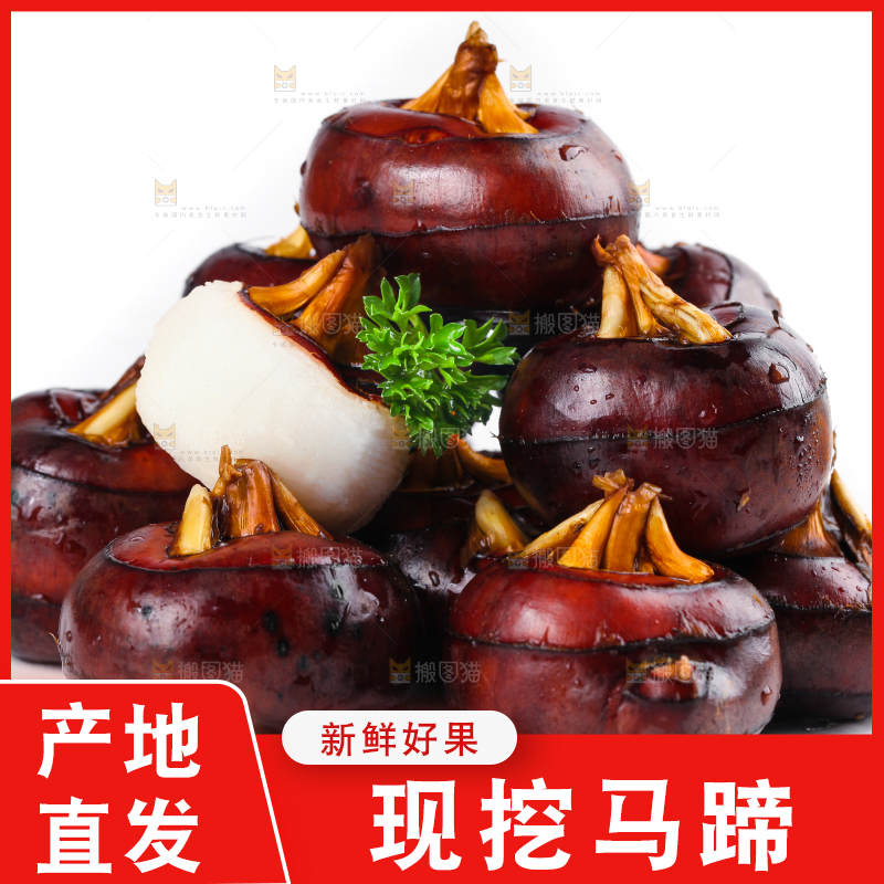 白底上摆放着乐昌北乡马蹄