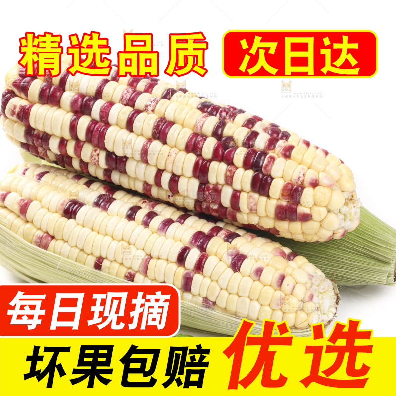 剥皮的花糯玉米放在白底上