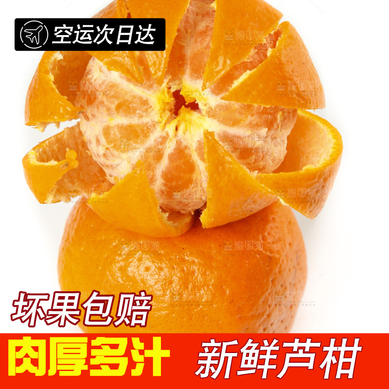 白底上的椪柑橘