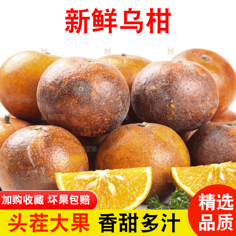 白底上摆放着乌柑