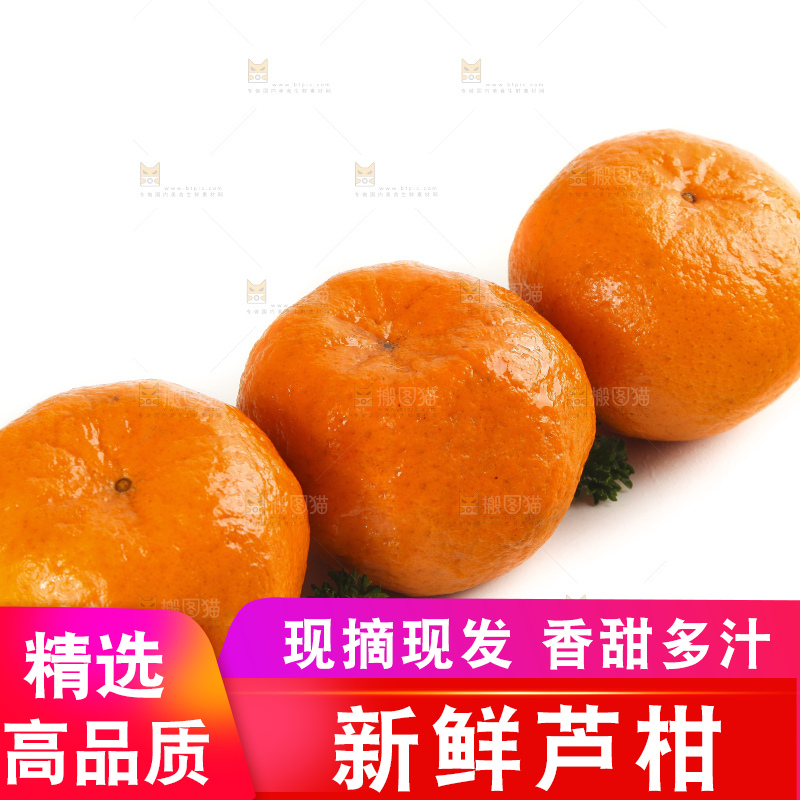 白底上摆放着福建永春芦柑