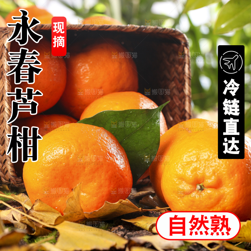 篮子里装着新鲜芦柑