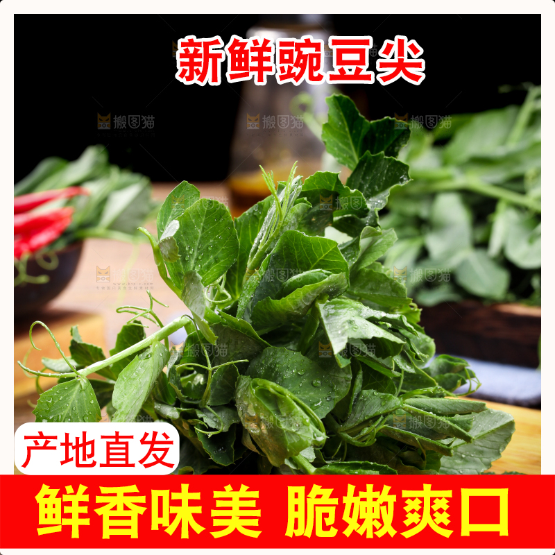 深底上的四川豌豆尖