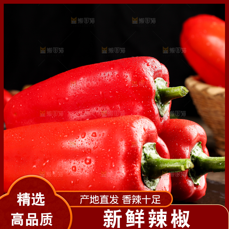 石板上的山东红辣椒