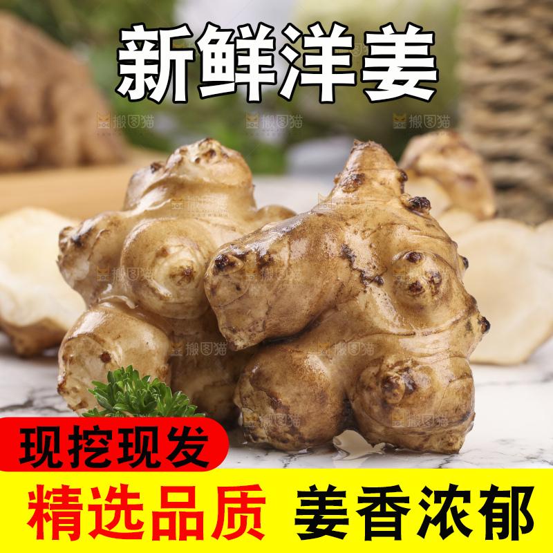 石盘上摆放着农家洋姜