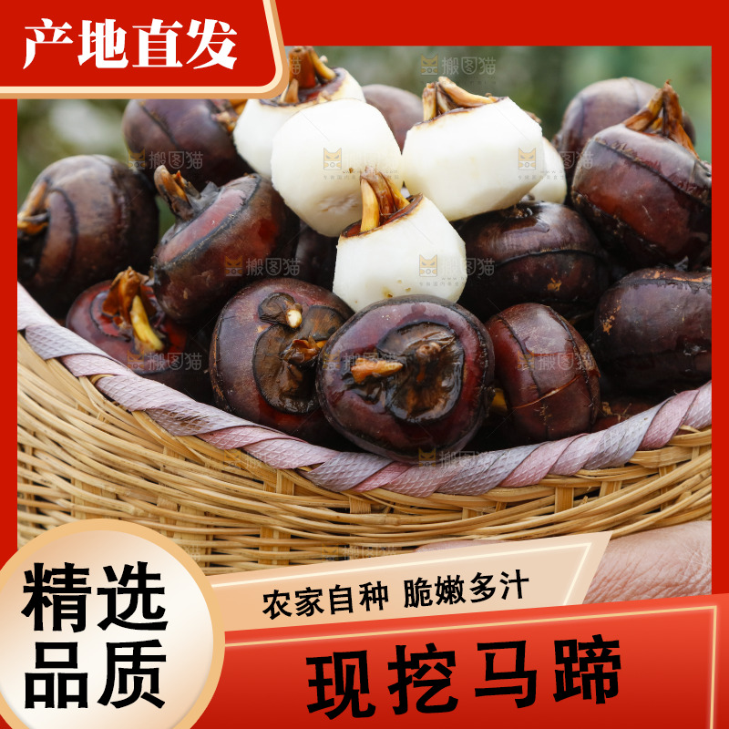 篮子里装着广西马蹄