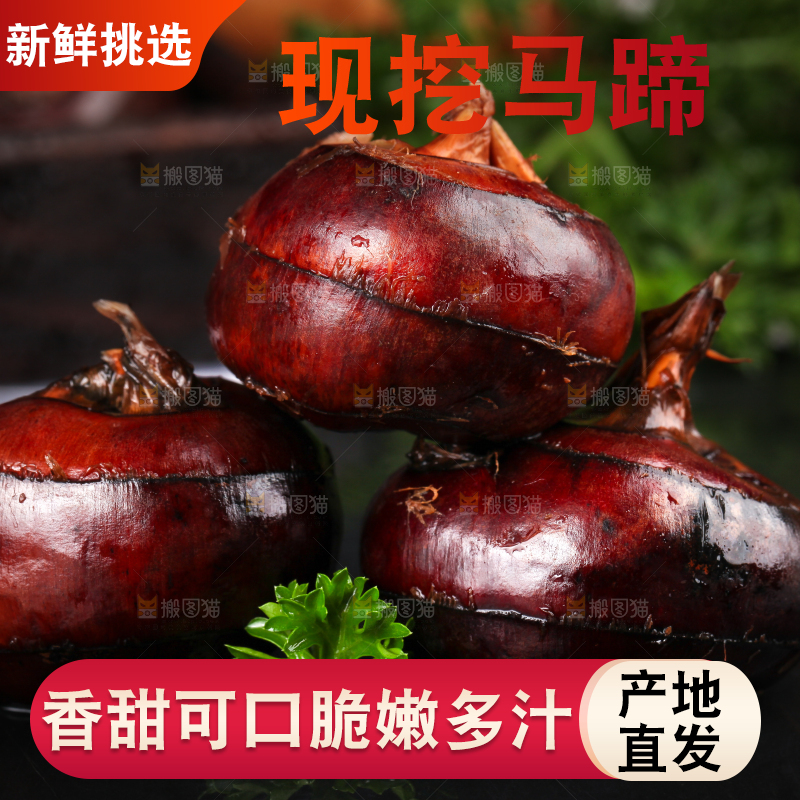 黑石板上的荸荠