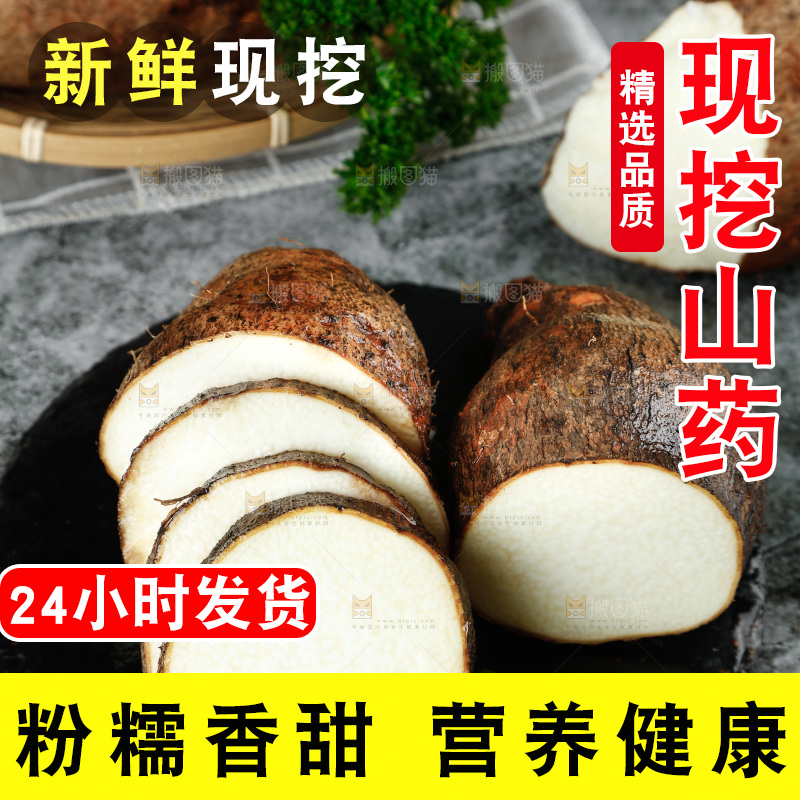 黑底上的金秤砣山药