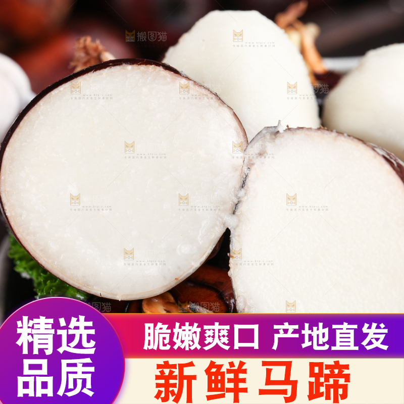 深底上的广西荔浦马蹄