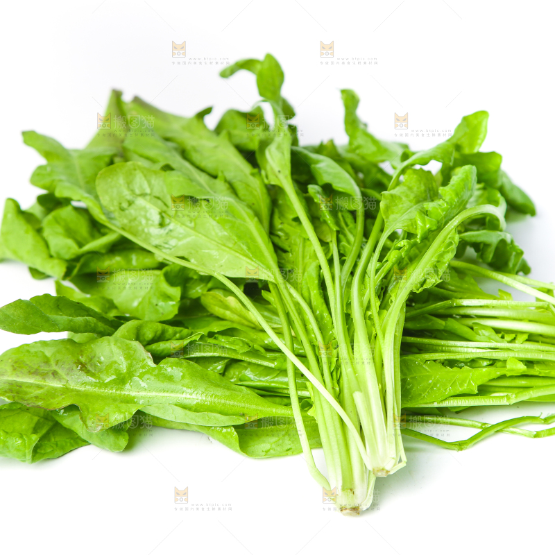 白底上的地菜