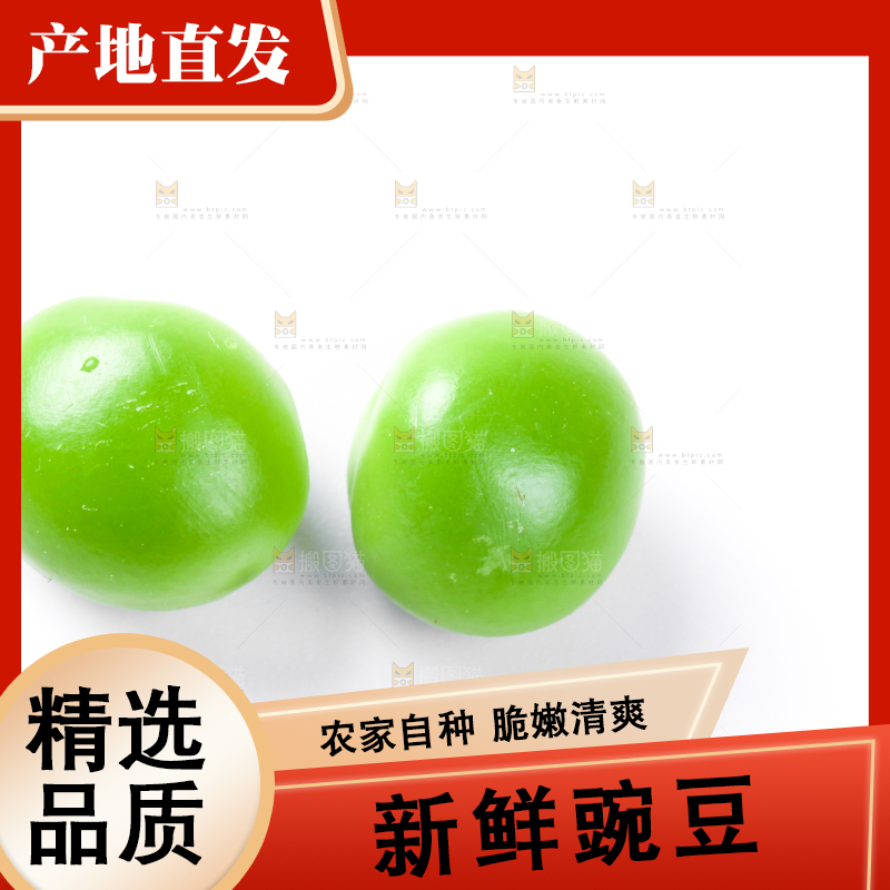 白底上放着新鲜豌豆粒