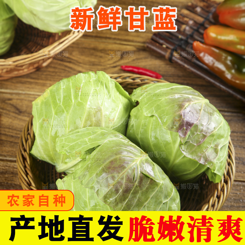 篮子里装着绿甘蓝