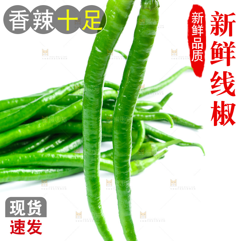 手里拿着二荆条辣椒