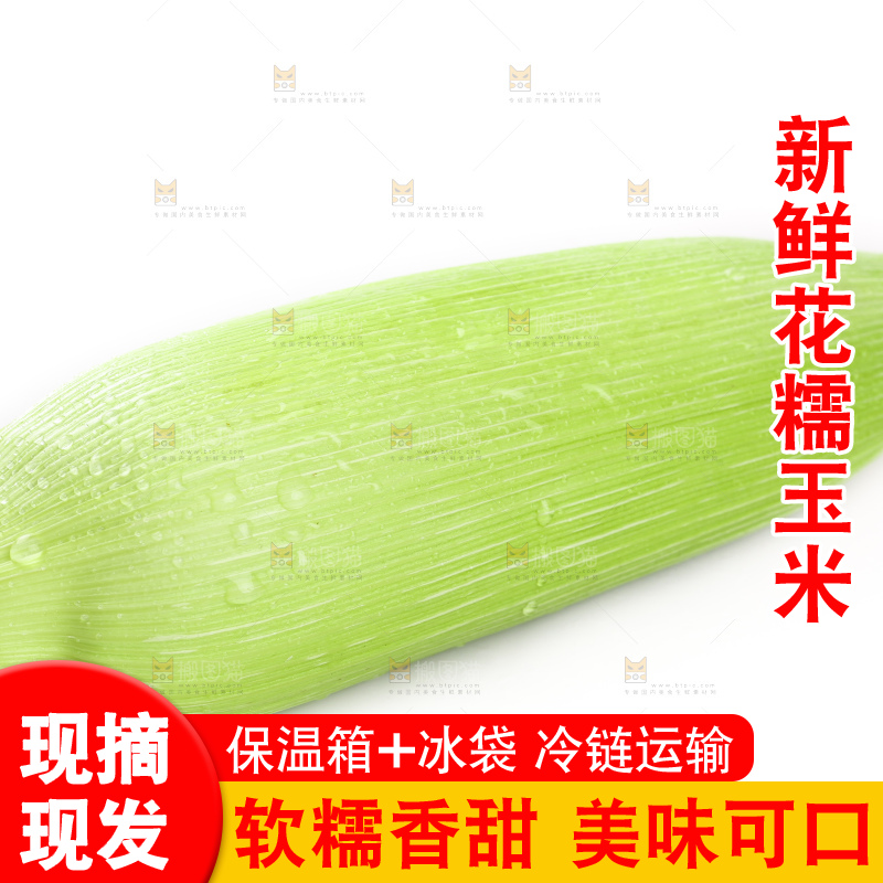白底上的玉米