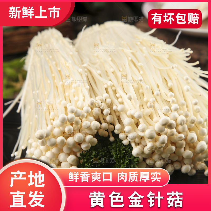 黑石板上的金针菇